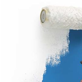 interior-painters